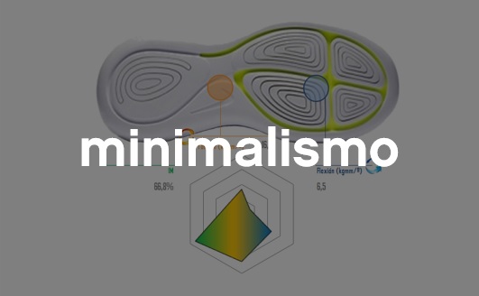 test de indice minimalista