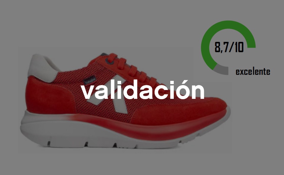 validacion biomecanica global